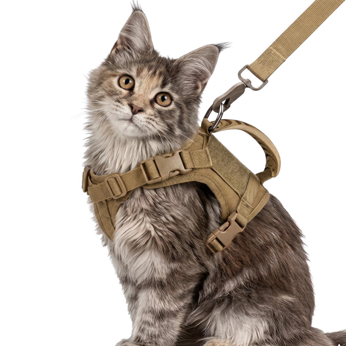 Chaleco Táctico para Gatos y Perros Pequeños - Arnés con Asa de Control