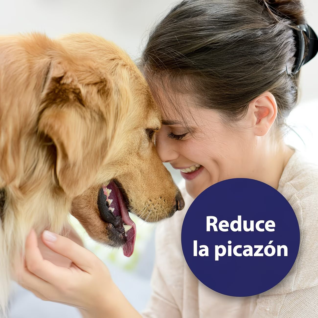 Perro Golden Retriever con su dueña, toallitas Nobleza que reducen la picazón en las orejas