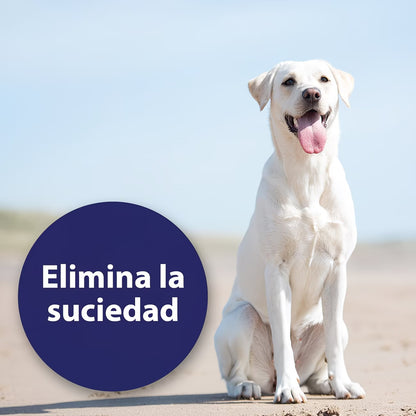 Toallitas Nobleza colocadas en los dedos para limpiar los oídos de la mascota