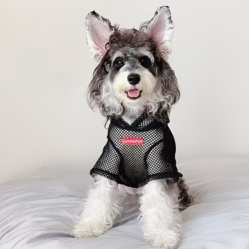 Sudadera de malla transpirable con capucha para mascotas, ideal para primavera y verano