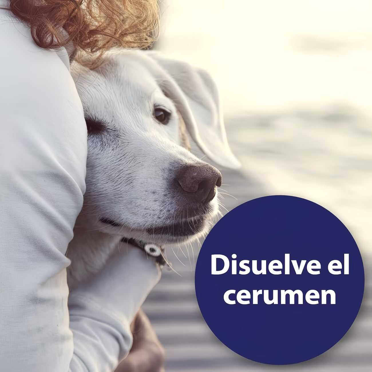 Mujer dando un beso a un cachorro, toallitas Nobleza que refrescan y curan las orejas